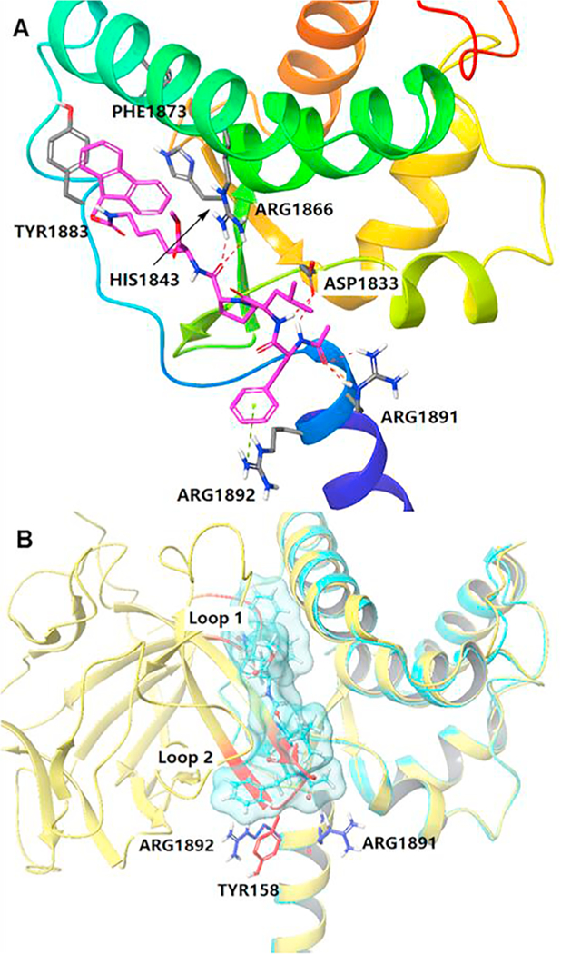 Fig. 4.