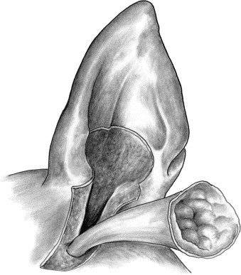 Fig. 11