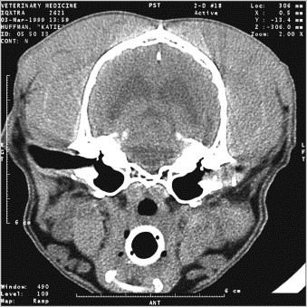 Fig. 10