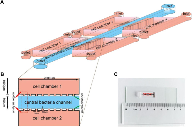 FIGURE 2