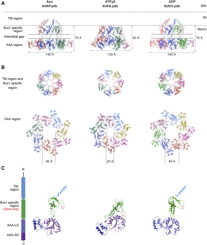 FIGURE 3