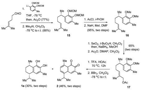 Scheme 4