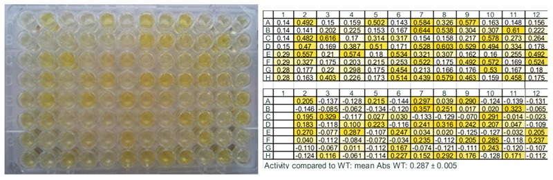 FIGURE 4