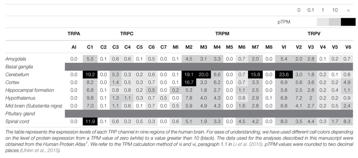 graphic file with name fphys-11-00238-i001.jpg