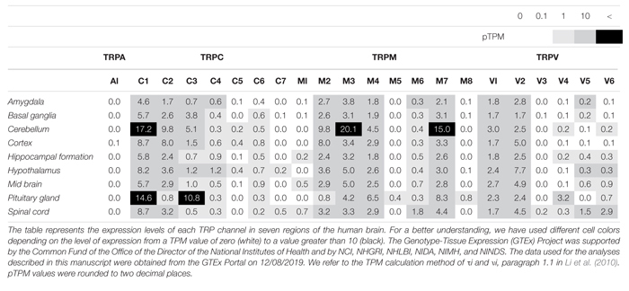 graphic file with name fphys-11-00238-i002.jpg