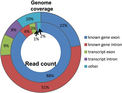 Figure 1.