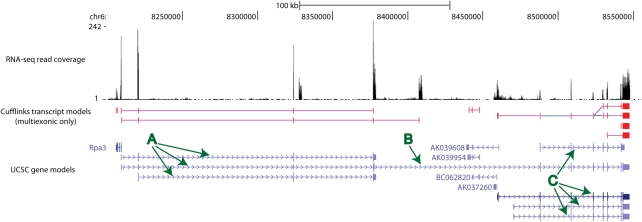 Figure 2.