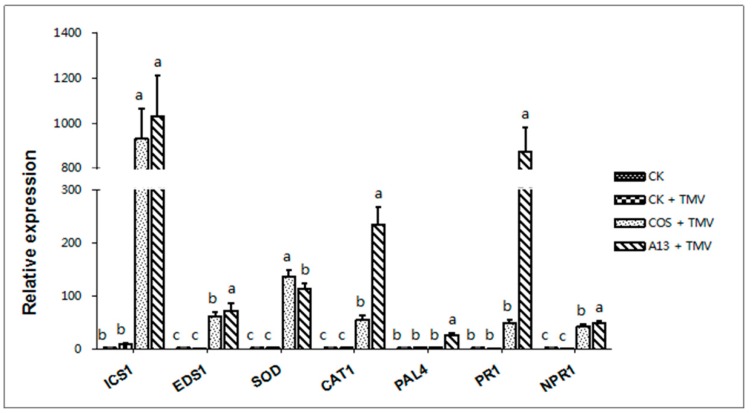 Figure 4