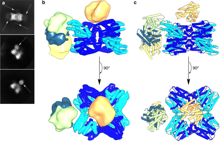 Fig. 3