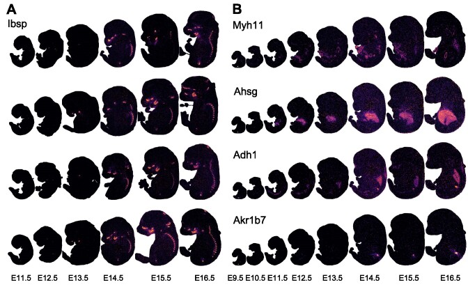 Figure 4.