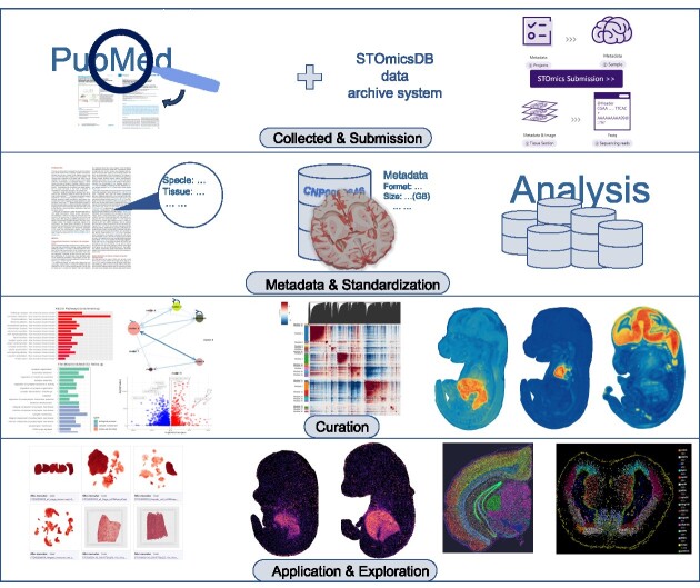 Graphical Abstract