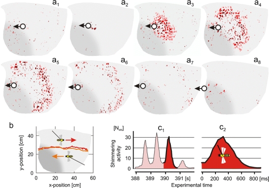 Fig. 1