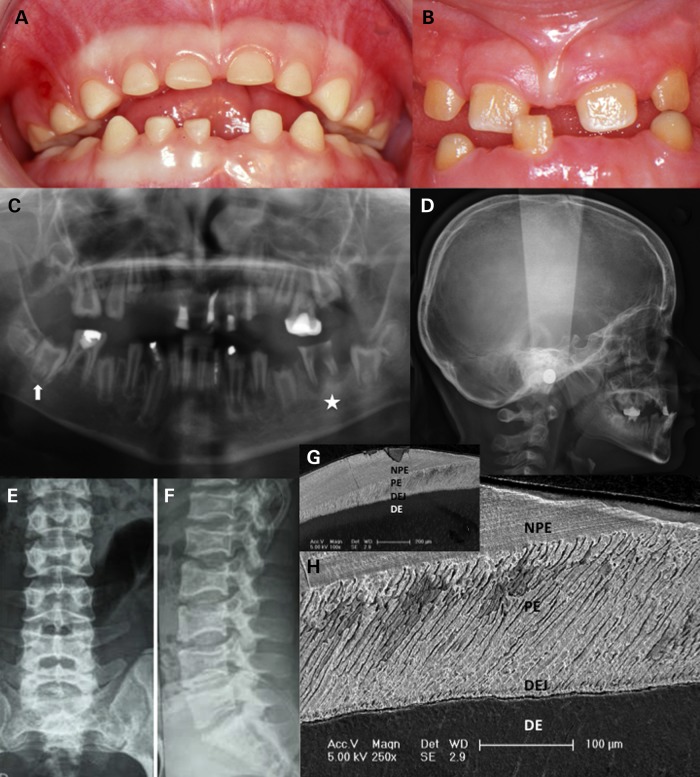 Figure 1.