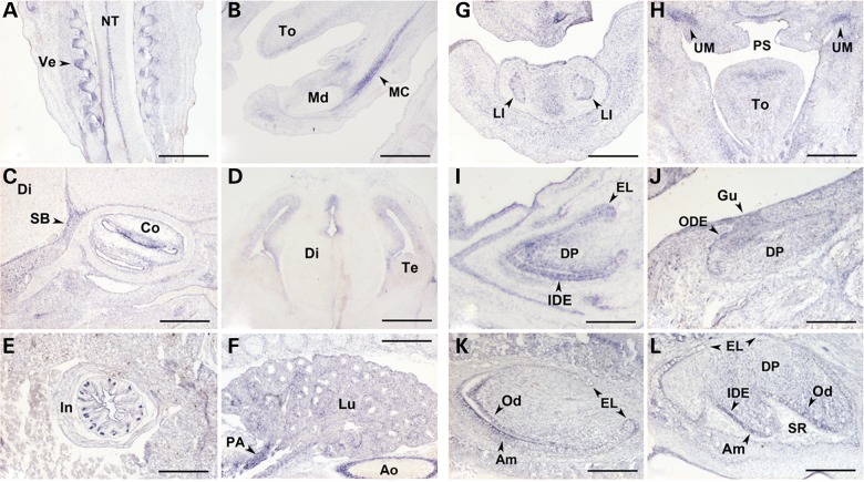 Figure 3.