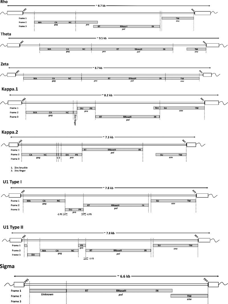 FIG 3