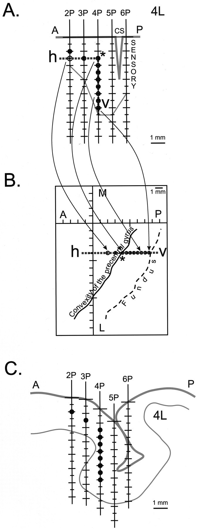 Fig. 2.