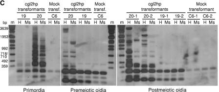 FIG. 5.