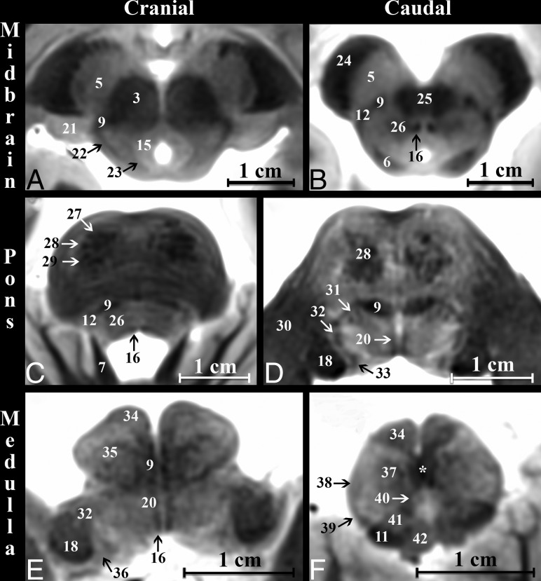 Fig 2.