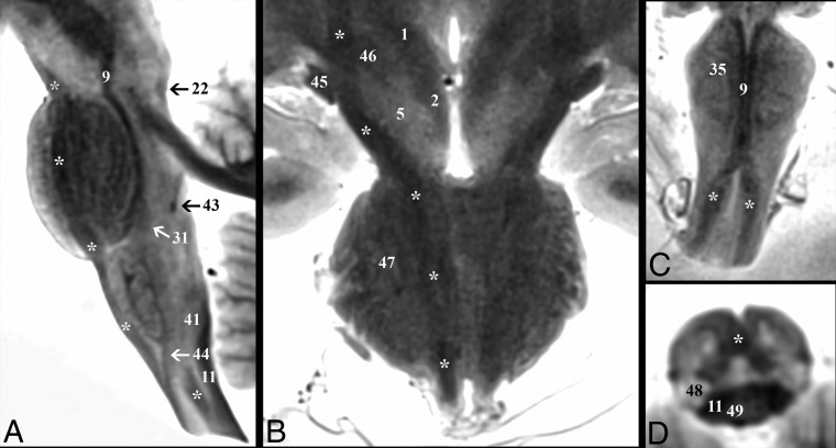 Fig 3.