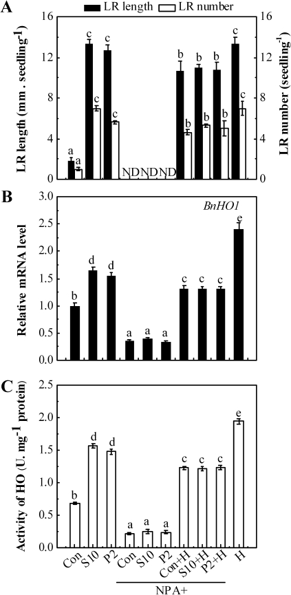 Fig. 8.