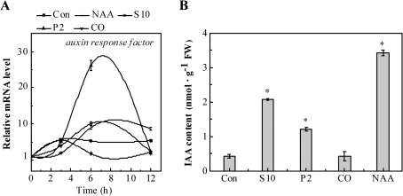 Fig. 7.