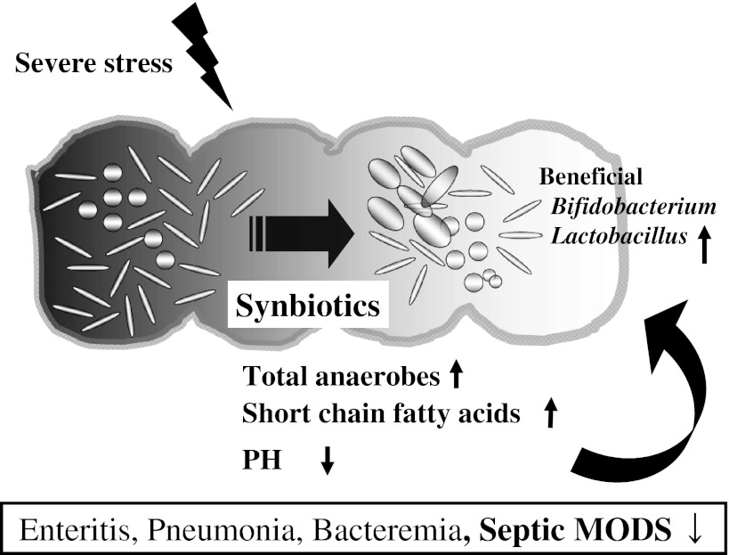 Fig. 2