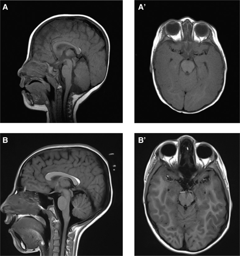 Figure 3.