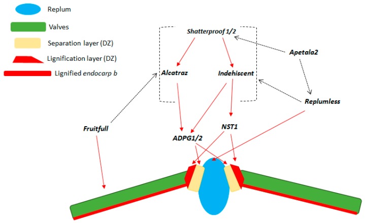 Figure 7