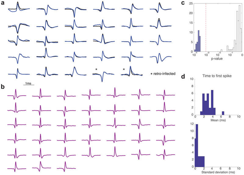 Extended Data Figure 4.