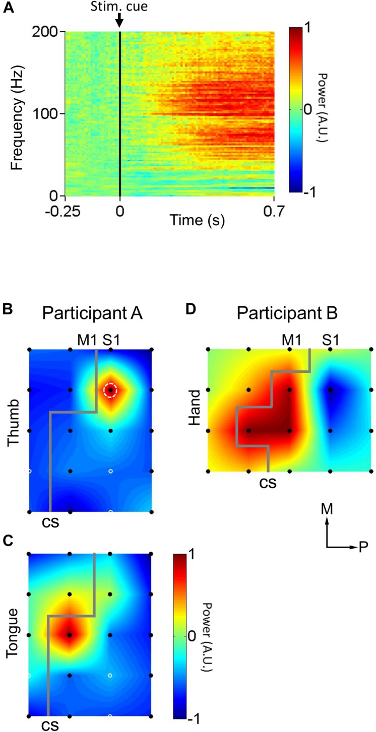 FIGURE 2