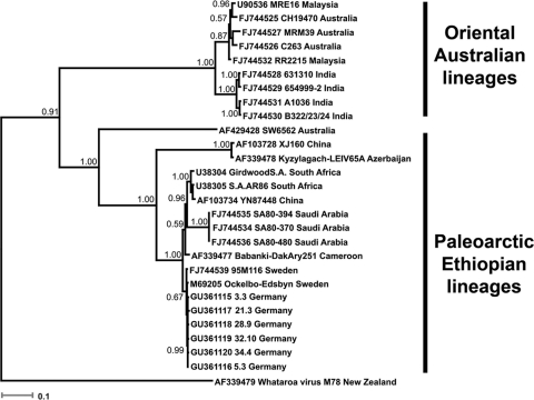 FIG. 2.