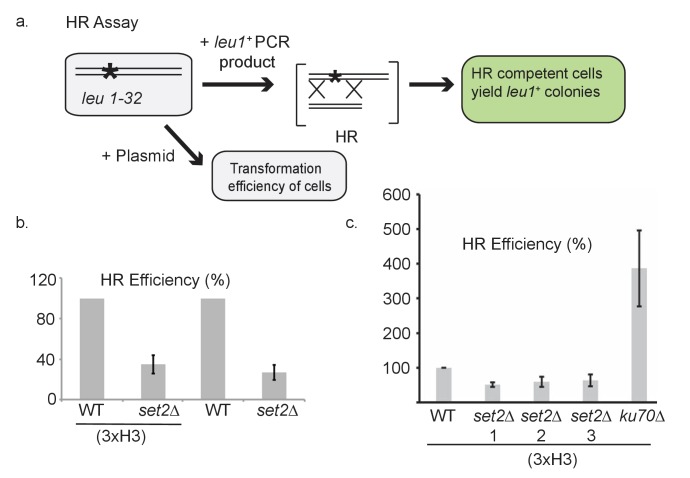 Figure 6—figure supplement 1.