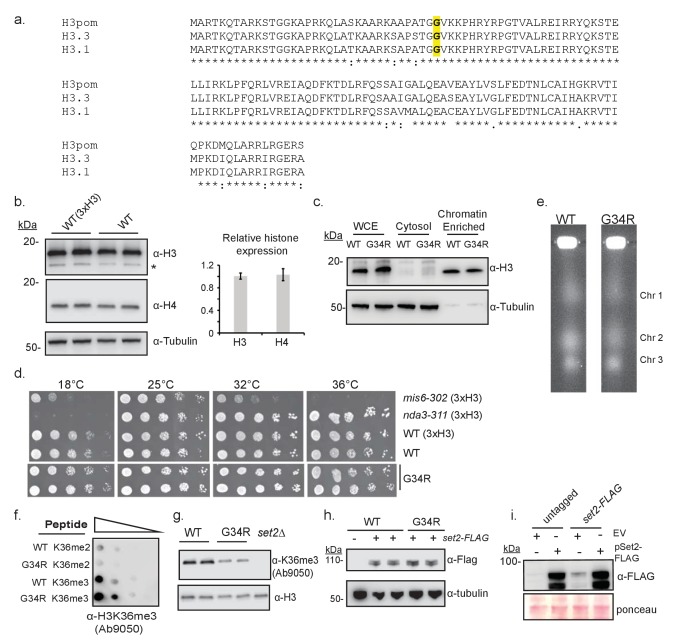 Figure 1—figure supplement 1.