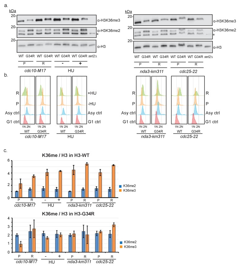 Figure 1—figure supplement 2.