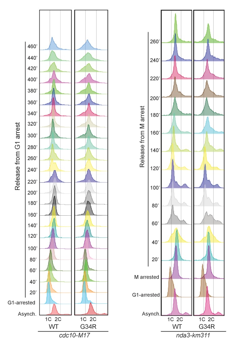 Figure 6—figure supplement 2.