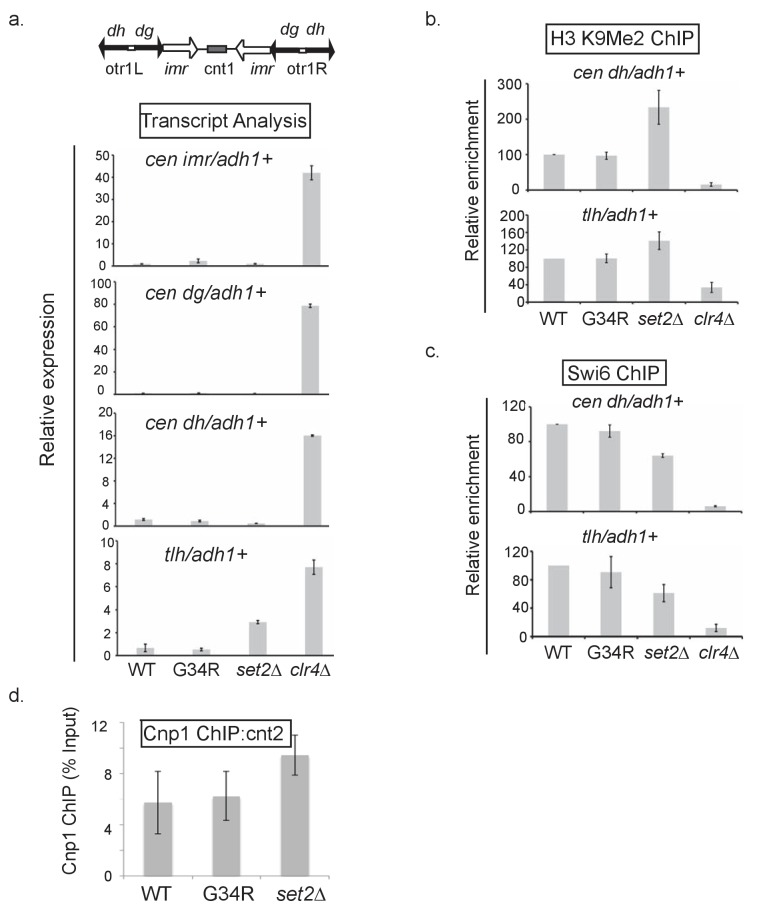 Figure 2—figure supplement 1.