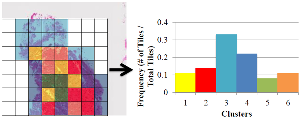 Fig. 5: