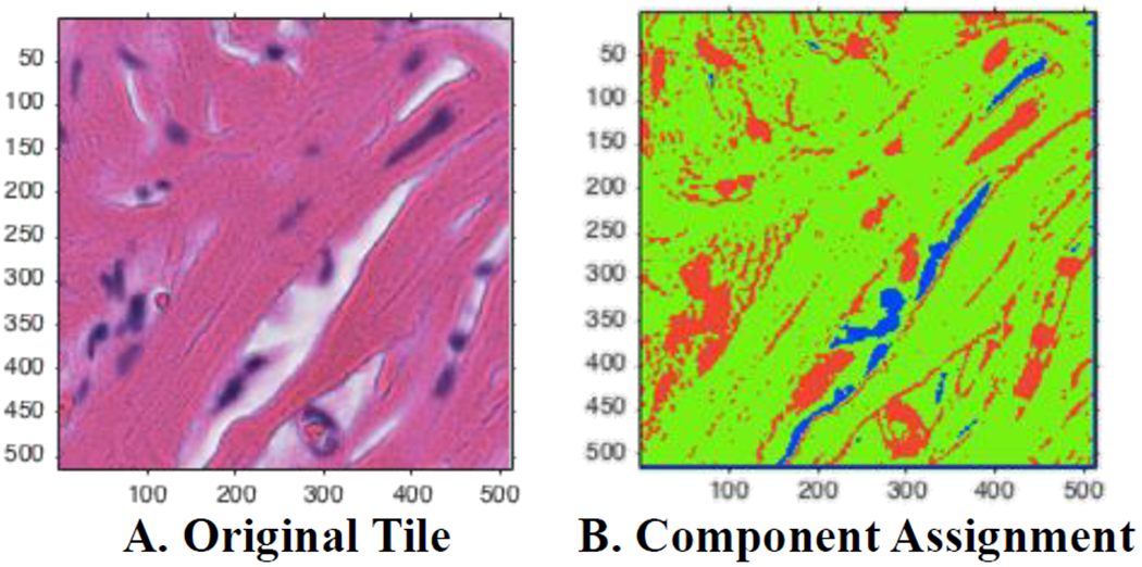 Fig. 2: