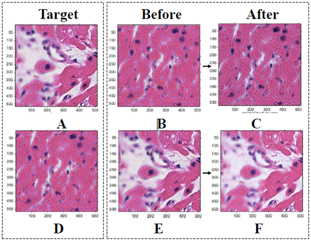 Fig. 4: