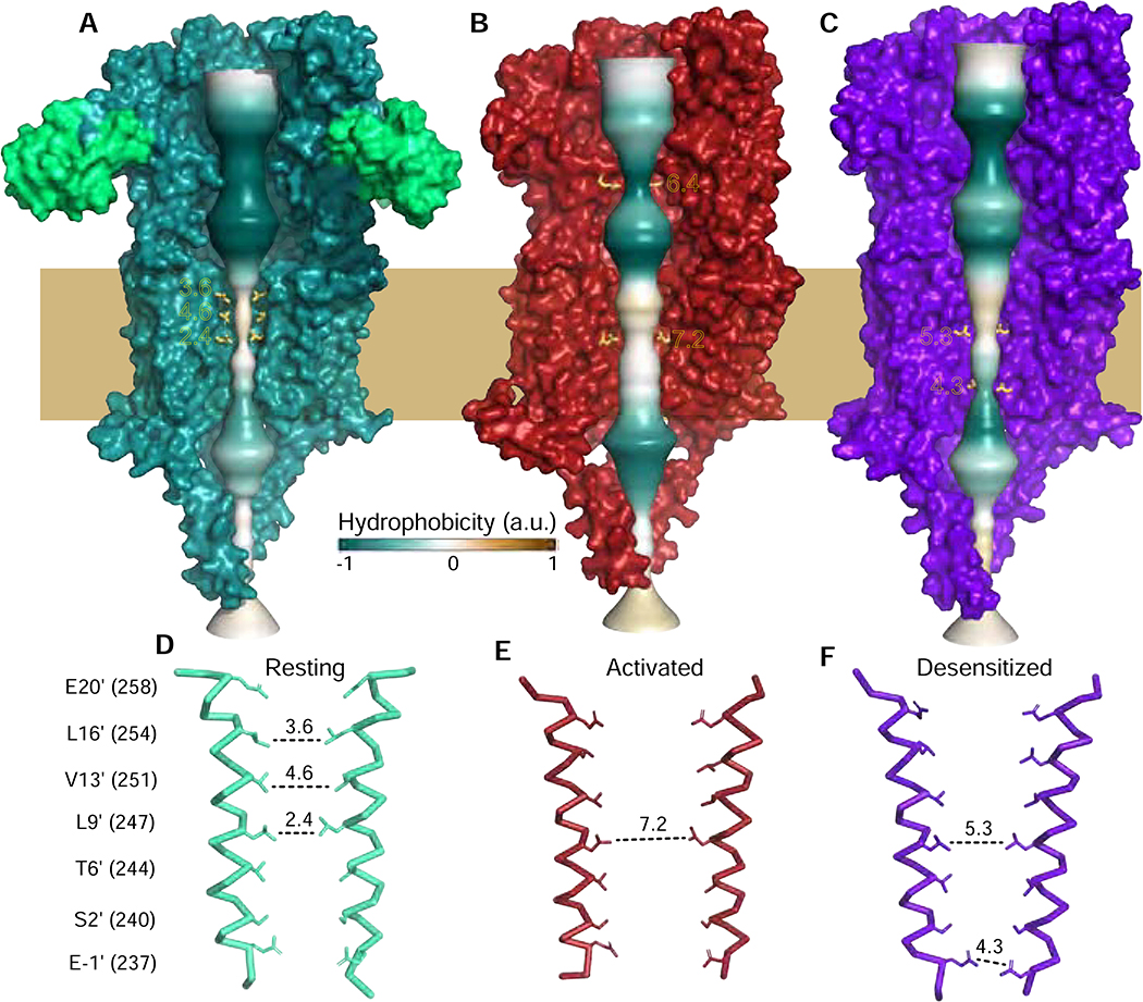 Figure 5: