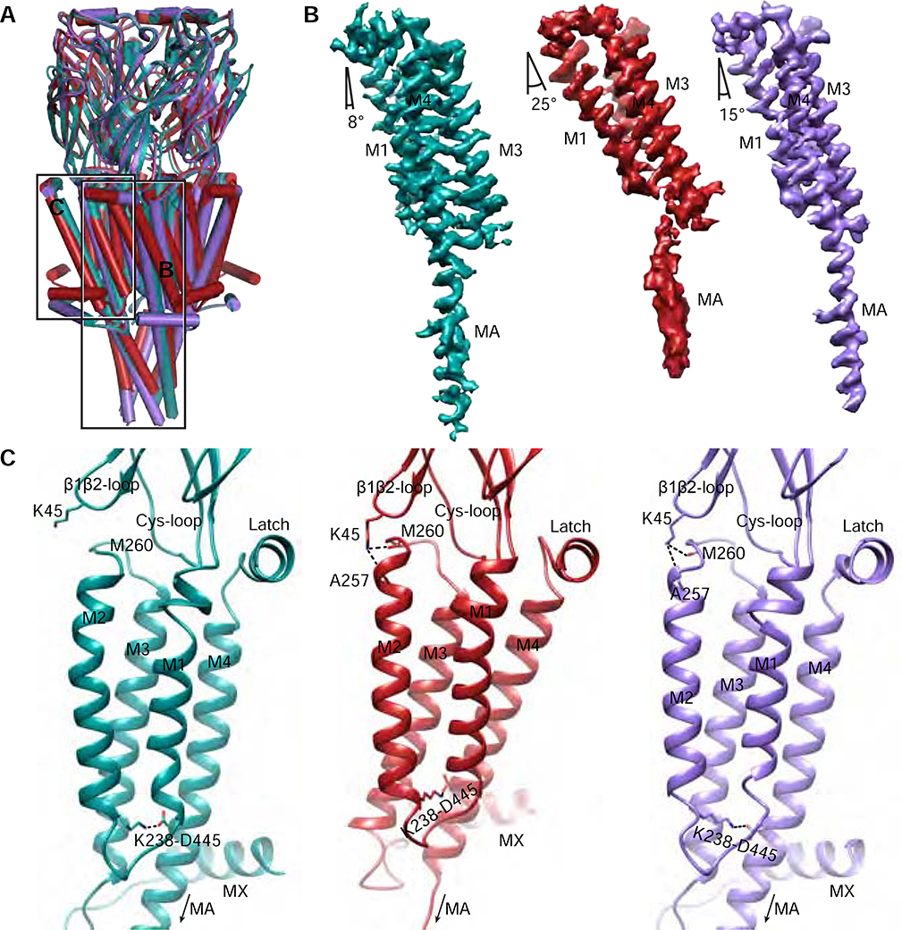 Figure 4: