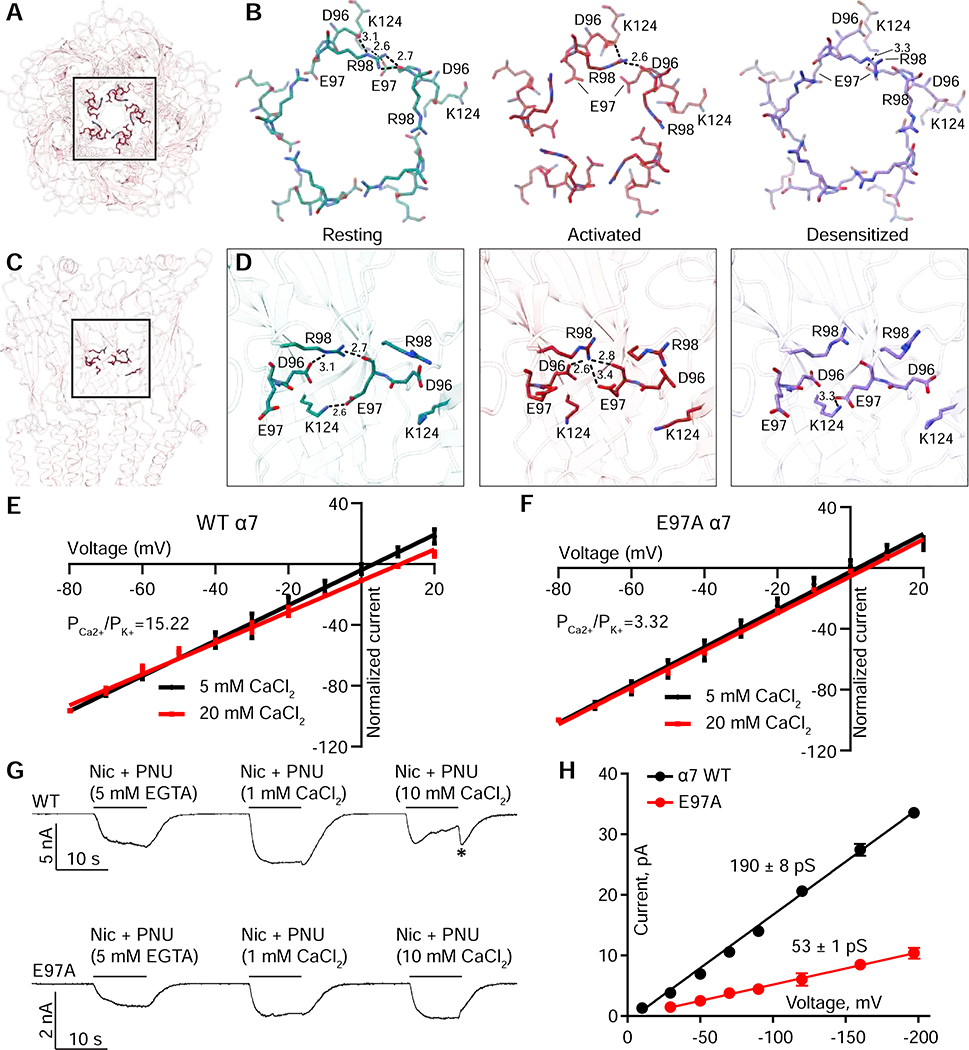 Figure 6: