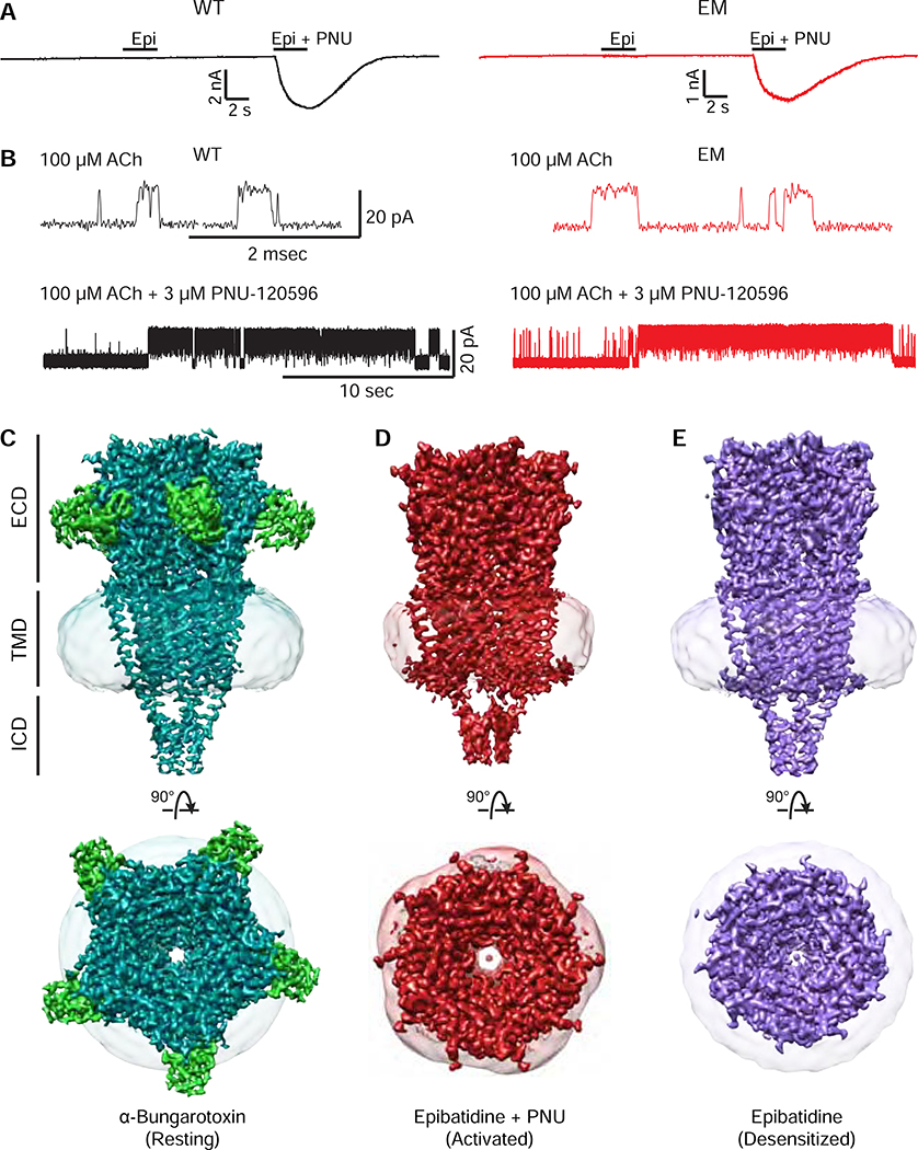 Figure 1: