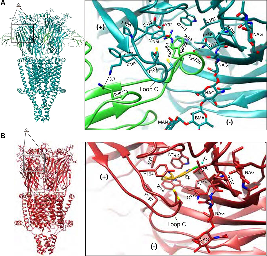 Figure 2: