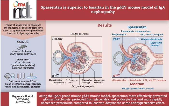 Graphical Abstract