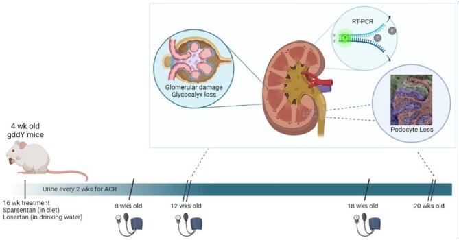 Figure 1: