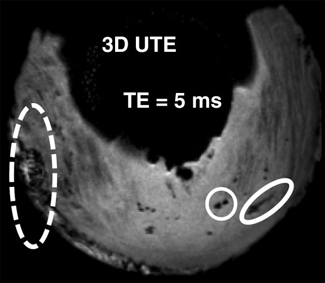 Figure 5d: