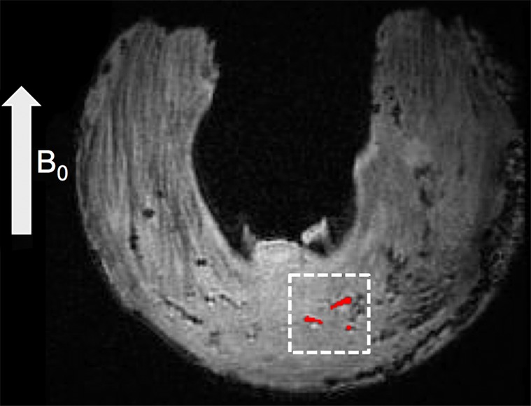 Figure 1a: