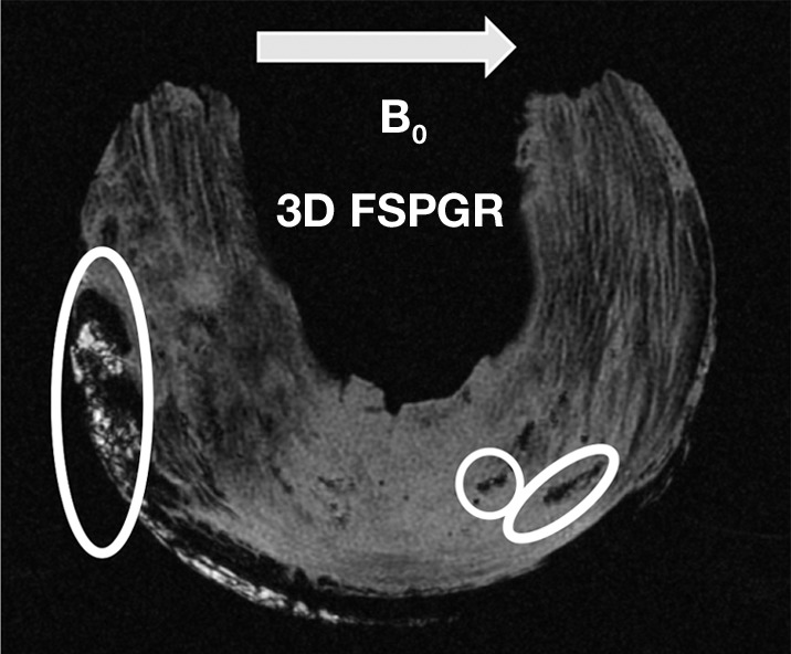 Figure 5b: