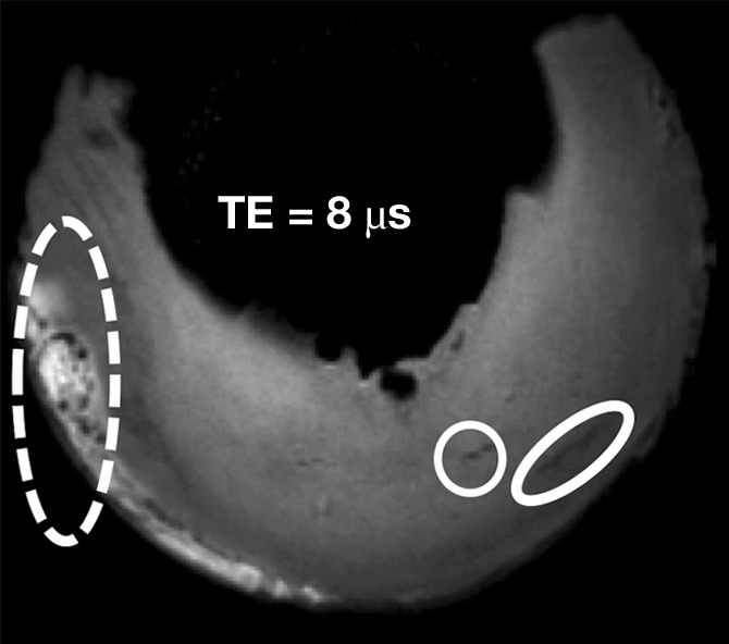 Figure 5c: